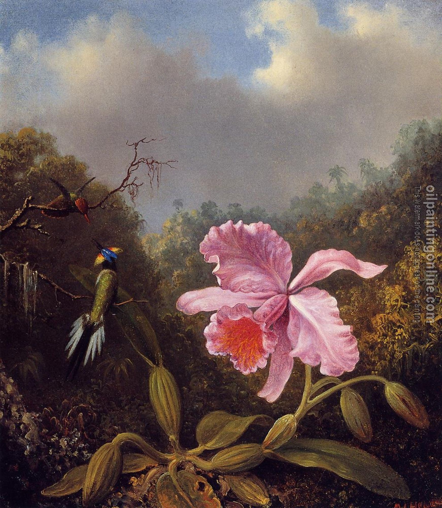 Heade, Martin Johnson - Fighting Hummingbirds with Pink Orchid